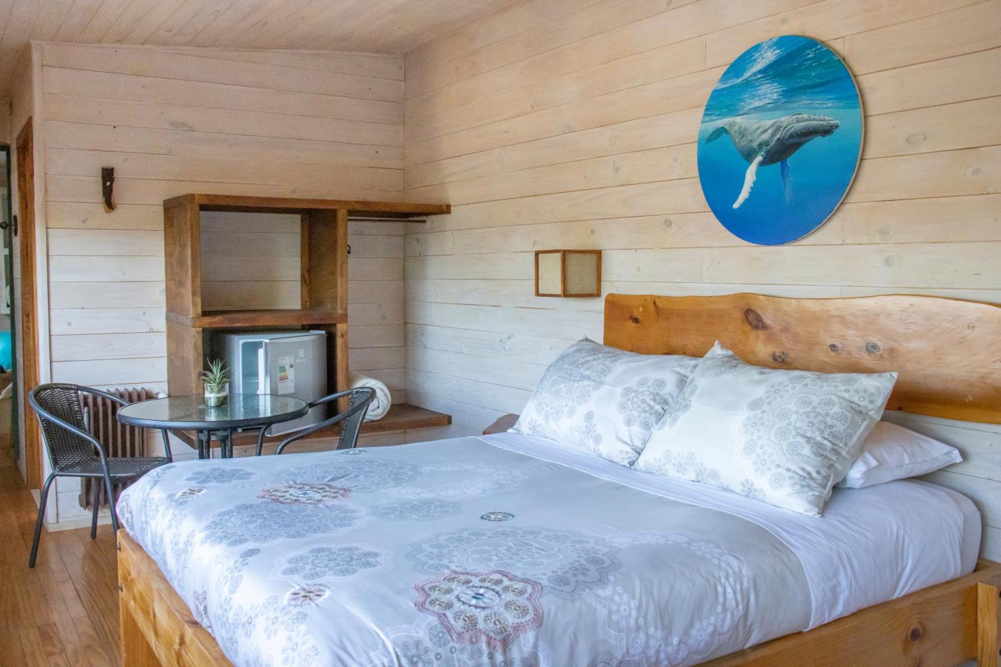 פיצ'ילמו Hostal Sirena מראה חיצוני תמונה